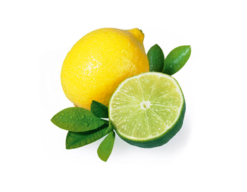 Sauna aroma concentrate Citrus lemon